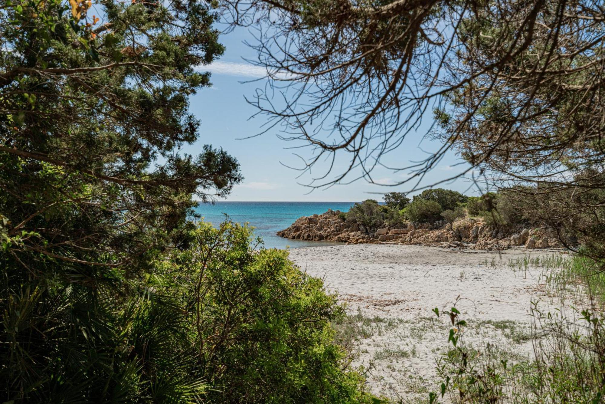 Casa Donatella, In Riva Al Mare! Villa Cala Liberotto Eksteriør bilde